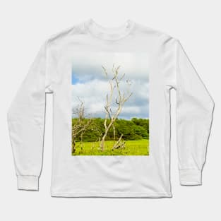 Molokai Study 10 Long Sleeve T-Shirt